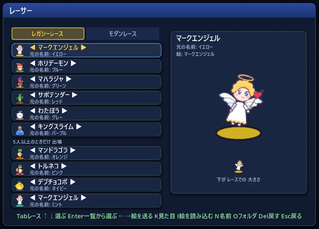 レーサーの設定画面